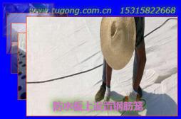 ˮO䓽\