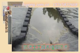 BĤBֳĤB