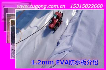 1.2mm EVA防水板介紹