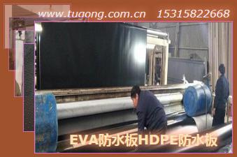 EVA防水板HDPE防水板