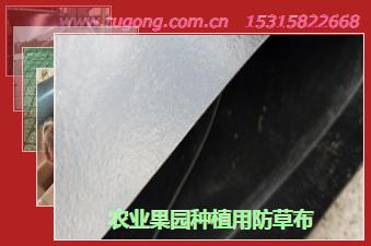 農(nóng)業(yè)果園種植用防草布