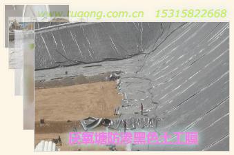 厭氧塘防滲黑色土工膜