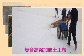復(fù)合高強(qiáng)加筋土工布