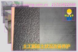 土工膜基土狀況改善養(yǎng)護(hù)